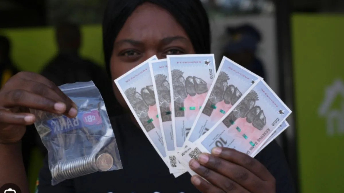 दुनिया की सबसे नई मुद्रा बनी जिम्बाब्वे की ‘जिग’, आर्थिक संकट दूर करने को सरकार ने खोजा उपाय
